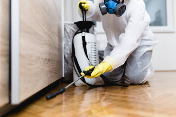 Best Best Pest Control Companies  in Versailles, KY