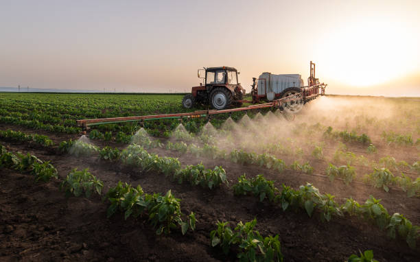 Professional Pest Control in Versailles, KY