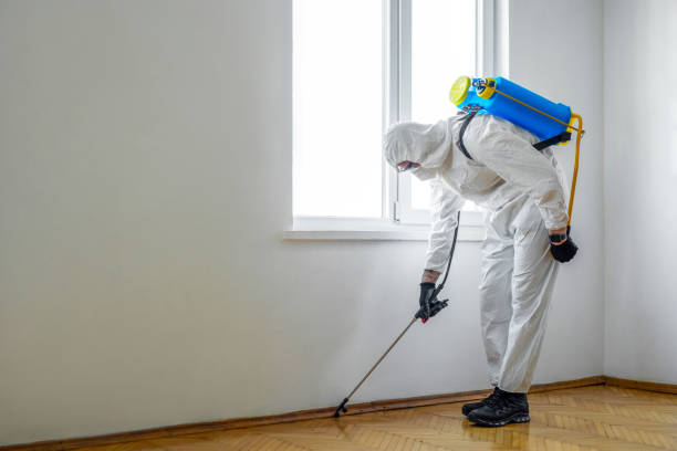 Best Termite Control Services  in Versailles, KY