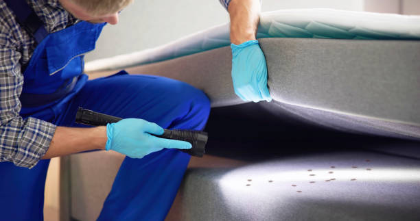 Best Commercial Pest Control Services  in Versailles, KY