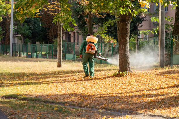 Best Bed Bug Extermination  in Versailles, KY