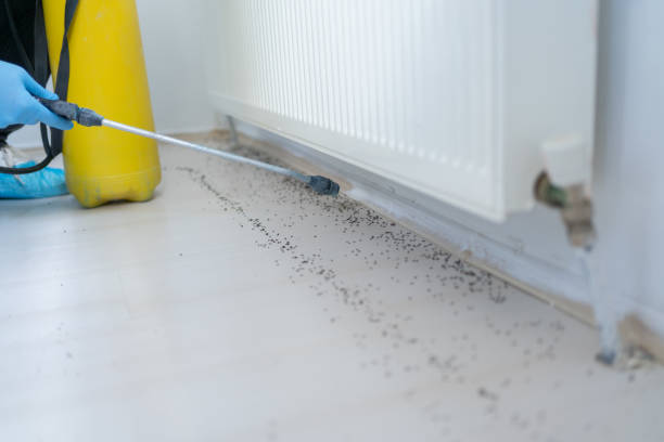 Best Pest Prevention Services  in Versailles, KY