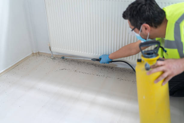 Best Residential Pest Control  in Versailles, KY